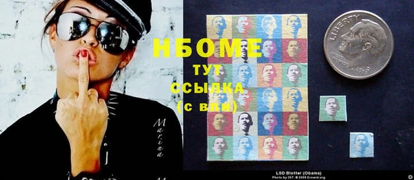 ГАЛЛЮЦИНОГЕННЫЕ ГРИБЫ Пересвет