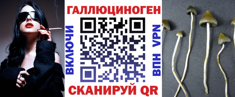 наркошоп Сельцо Псилоцибиновые грибы GOLDEN TEACHER